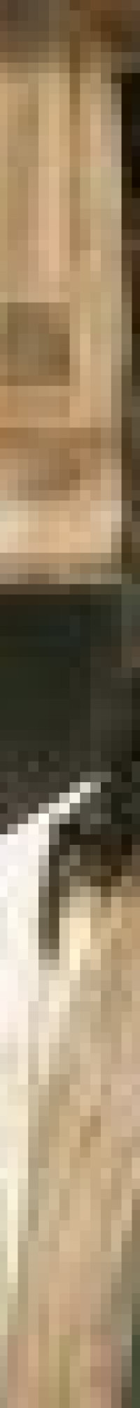 Jei Kristus ako historick osoba